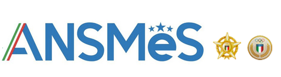 logo Ansmes